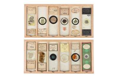 Lot 116 - A Collection of Early Geology Microscope Slides