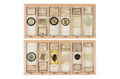Lot 116 - A Collection of Early Geology Microscope Slides