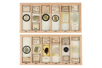 Lot 116 - A Collection of Early Geology Microscope Slides