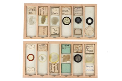 Lot 116 - A Collection of Early Geology Microscope Slides