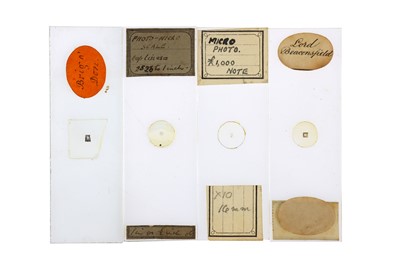 Lot 257 - A Collection of  33 Microphotographs