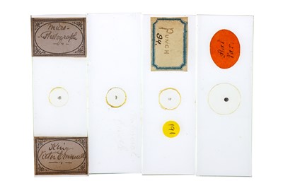 Lot 257 - A Collection of  33 Microphotographs