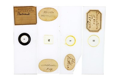Lot 257 - A Collection of  33 Microphotographs