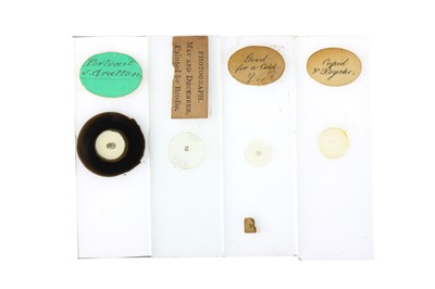 Lot 257 - A Collection of  33 Microphotographs