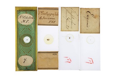 Lot 257 - A Collection of  33 Microphotographs