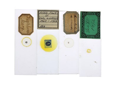 Lot 257 - A Collection of  33 Microphotographs