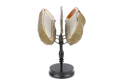 Lot 332 - Brendel Didactic Botanical Model of Secale Cerale