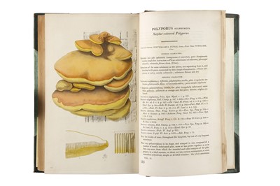 Lot 219 - Greville, Robert Kaye, Scottish Cryptogamic Flora, or Coloured Figures and Descriptions of Cryptogamic Plants