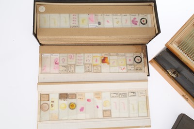 Lot 683 - A Large Collection of Microscope Path Lab Slides
