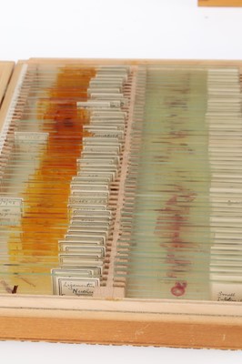 Lot 683 - A Large Collection of Microscope Path Lab Slides