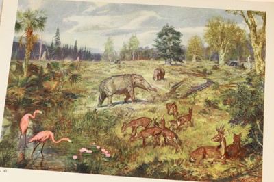 Lot 733 - Augusta, Joseph, Greta Hort, & Zdeněk Burian. Prehistoric Animals