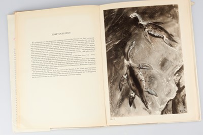 Lot 733 - Augusta, Joseph, Greta Hort, & Zdeněk Burian. Prehistoric Animals