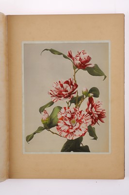 Lot 42 - Japan Described And Illustrated by the Japanese Mikado Edition VI