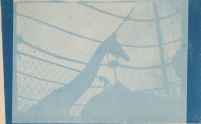 Lot 34 - Cyanotypes