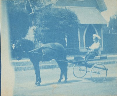 Lot 34 - Cyanotypes
