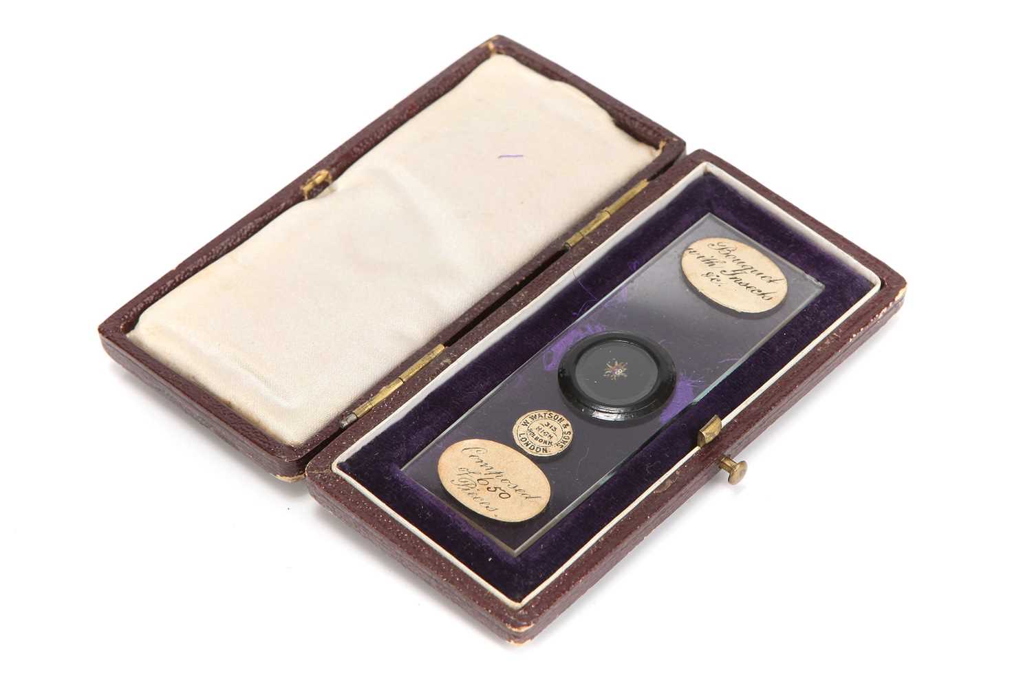 Lot 17 - An Impressive Microscope Exhibition Slide