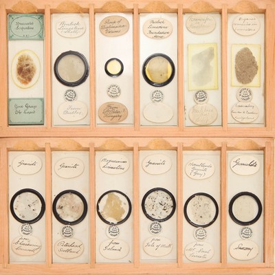 Lot 19 - A Microscope Slide Collection