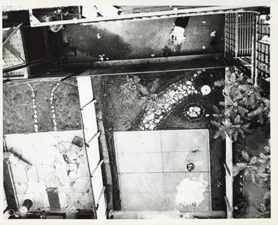 Lot 176 - A Collection of NYPD Crime Scene Photographs