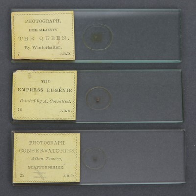 Lot 35 - A Collection of Thirteen Cased Microscope Microphotographs